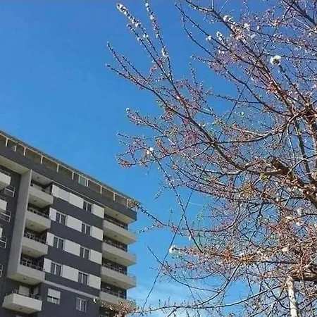 Unico Vlorë